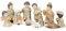 Riffelmacher&Weinberger Kinderkrippenfiguren Set 11-TLG. 3,0-7,5 cm Naturfarben Weihnachtskrippe | 78459