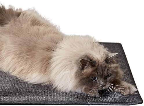 Carpido Kratzmatte für Katzen - Fußmatte Sisal Kratzteppich - natürliche Sisalmatte - Vorleger 100% Sisal - Katzenkratzmatte anthrazit 30x40 cm 2er Set