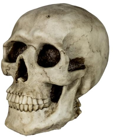 Horror-Shop Totenschädel Spardose als Geschenkidee & Deko 19cm