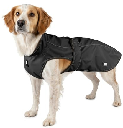 Max & Molly Regenmantel Hund wasserdicht, L, Schwarz, Sportliche Regenjacke für Hunde mit verstellbarem Bauchgurt, Reflektierend und Sicher, Regenjacke Hund mit Geschirröffnung