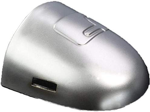 FINAO AUTOPARTS® - Cache serrure de porte gauche pour Renault Clio, Megane, Scenic, Laguna, Twingo, Modus, Espace, Vel Satis