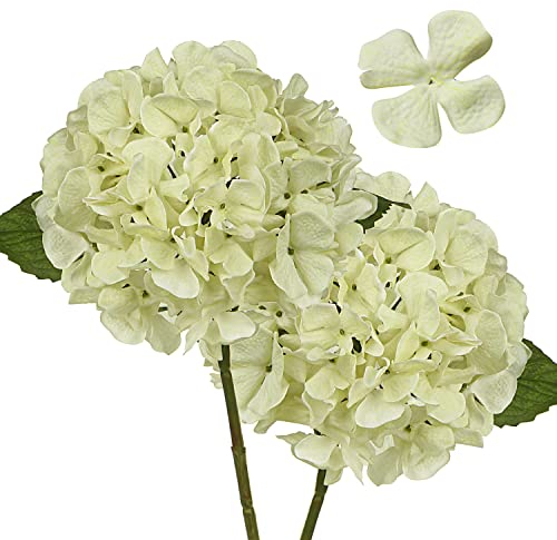2 STK Hortensien Kunstblumen Elfenbein, Ø 19cm Kunstblumen Hortensien Wie Echt für Brauthochzeitssträuße, Haus, Büro, Hotel, Partydekoration, Mittelstücke, Blumenarrangements,