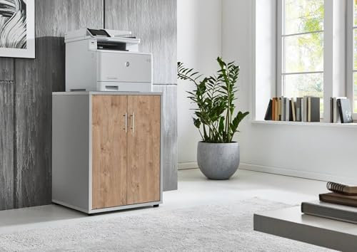 Druckerschrank Office Edition mit 2 Türen, 2 Einlegeböden, Büromöbel, 74 cm Höhe (Lichtgrau/Gold Harbor Oak)