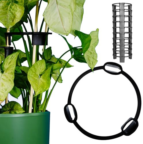 10 Pflanzenstütze schwarz, Pflanzenhalter, Blumenhalter, Pflanzen Stütze, Hortensien Stütze, Plant Support, Pflanzenstützen für Zimmerpflanzen, Blumenstütze für Pflanzstäbe bis 12 mm Durchmesser