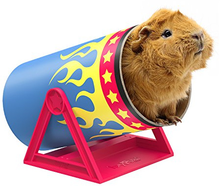 HAYPIGS Circus Toys | Cavy Cannon Ball Tilting Tunnel | Guinea Pig Seesaw