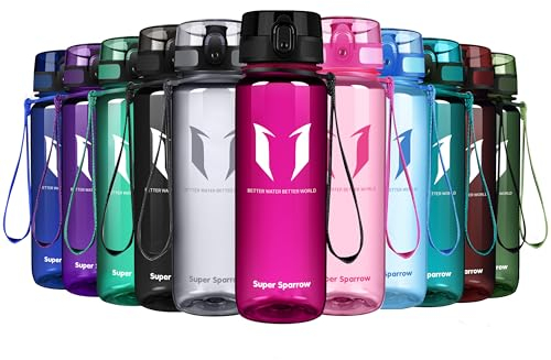 Super Sparrow Bouteille d'eau - Gourde - 500ml - sans BPA - Convient pour Le Sport, la randonnée, l'école, Le Bureau, en Plein air