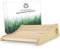 Nordholz® Sauna Kopfstütze Holz - 37x33cm ideale Breite für den optimalen Liegekomfort - Sauna Kopfstütze Ergonomisch handgefertigt aus langlebigem skandinavischem Fichtenholz - Sauna Zubehör