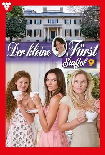 E-Book 81-90: Der kleine Fürst Staffel 9 – Adelsroman