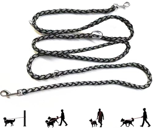 Hundeleine Mit Reflektierenden Streifen, 2.5m x 12mm Verstellbar Leuchtleine Mit 2 Karabiner, Joggingleine Geflochten Doppelleine Für Kleine Mittelgroße Hunde, Nylon