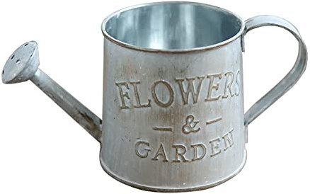 XuQiZZpp Blumentöpfe aus Metall für den Innenbereich, Vintage-Blumeneimer, für den Außenbereich, Bauernhaus-Vase, Vintage-Blumeneimer, Metall-Pflanzgefäß, Töpfe mit Griff, klein für den Innen- und