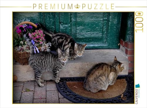 Puzzle · Hofkatzen in Hamelwörden-Altendorf | 1000 Teile · Lege-Größe 64 × 48 cm · CALVENDO Puzzle