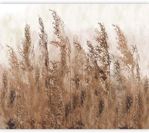 murando - Vlies Fototapete Pampasgras 350x256cm Foto tapete Wohnzimmer Vliestapete XXL Wandtapete Motivtapeten 3d Effekt Wand Dekoration - Trockenblumen Natur Botanik beige weiß b-A-0724-a-b