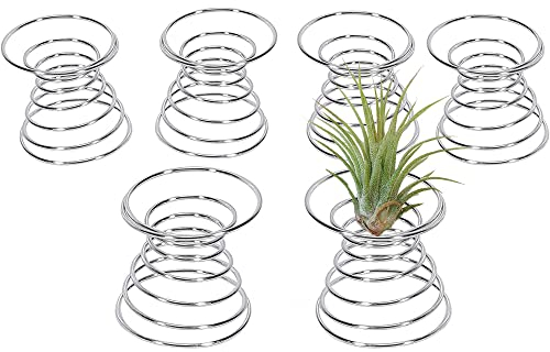 Dasing 6 Piezas Soporte de Planta de Aire Contenedor de Avión Soporte de Tillandsia Estantes de Exhibición de Planta de Acero Inoxidable Base de Piña de Aire