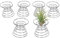 Dasing 6 Piezas Soporte de Planta de Aire Contenedor de Avión Soporte de Tillandsia Estantes de Exhibición de Planta de Acero Inoxidable Base de Piña de Aire