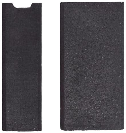 Spazzole di carbone abrasivo per levigatrice a nastro Parkside PBS 900 C3