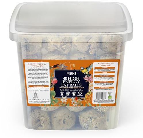 RHS Gourmet High Energy Fat Balls for Wild Birds, 40 Tub - Premium Suet Bird Feed with British-Sourced Beef Tallow & Seeds - Complementary Bird Food - Attracts a Variety of Garden Birds