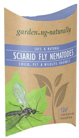 Sciarid Fly Nematodes Fungus Gnat Compost Fly Organic Natural Killer Treatment Treats 12.sqm