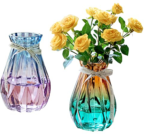 YouYuer 2PCS Vaso di Vetro per Fiori Vaso da Interno Vaso Transparente Vaso Vetro Vasi Moderni Geometrico Vaso Fioriera Terrari Decorazioni Portafiori per Soggiorno Matrimonio,Ufficio,Festa