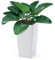 EDANTI Pot de fleurs Eco - Pot de fleurs avec bois haut naturel - Rectangulaire - Grand pot de fleurs - Pour l'intérieur et l'extérieur - Pour fleurs, jardin, terrasse, maison - Blanc - 19,5 cm