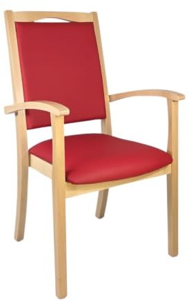 Erides Alexander Hochlehner Seniorenstuhl – Ergonomischer Armlehnenstuhl für Senioren und Pflege