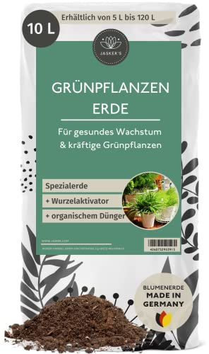 Bio Grünpflanzenerde 10 L - Blumenerde Zimmerpflanzen Erde aus 45% weniger Torf - Erde für Zimmerpflanzen mit Dünger - Zimmerpflanzenerde - Pflanzenerde Zimmerpflanzen - Erde für Pflanzen
