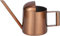 Bronze-Gießkanne, 300 ml, Langer Ausguss, Edelstahl, mit Komfortgriff, Wasserkocher für Gärten, Pflanzen im Innen- und Außenbereich (Bronze)