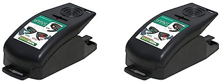 Windhager Rattenfalle SNAP, Schlagfalle mit Spezial-Lockstoff, Schnappfalle inkl. Köder, Köderfalle ohne Gift, wiederverwendbar, 05065 (Packung mit 2)