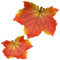 Herbstblatt - Herbstschale - Dekoschale in Blattform als 2er Set, Maße L/B/H je Schale 25 x 13 x 7 und 17 x 18,5 x 4,5 cm