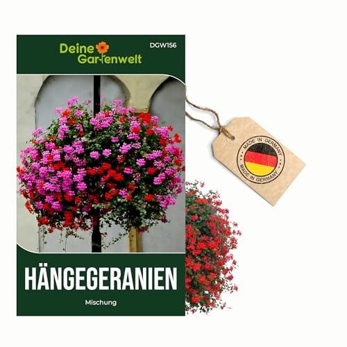 Hängegeranien Mischung Samen - Pelargonium peltatum - Geraniensamen - Blumensamen - Saatgut für 20 Pflanzen Geranien – 5er Pack