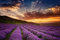 Muralo Fototapete Landschaft 180 x 270 cm Vlies Tapete Wandtapeten Berge Himmel Lavendel Feld Wohnzimmer Schlafzimmer Moderne Wandbilder XXL Natur Panorama Wand Dekoration