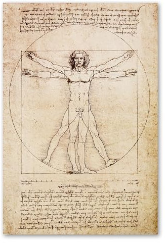 Postereck - 0125 - Zeichnung Leonardo da Vinci, Gesundheit Mensch - Unterricht Klassenzimmer Schule Wandposter Fotoposter Bilder Wandbild Wandbilder - Poster - DIN A4-21,0 cm x 29,7 cm