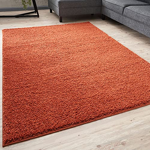 THE RUGS Living Room Rug - Shaggy Soft And Elegant Carpets For The Bedrooms And Kitchen, Easy To Clean, Many Different Sizes (80x150 cm, Terra)