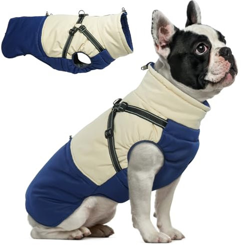 Hjumarayan Hundemantel Mit Geschirr für Kleine Hunde - Wintermantel Gefüttert, Wasserdicht und Warm - Hundejacke für Kleine Hunde, Marineblau M