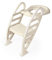 Dolu 7241 Toilet Trainer with Adjustable Non-Slip Ladder – Comfortable & Safe Potty Training Solution for Kids – Relax Beige – Easy-to-Use for Toddlers