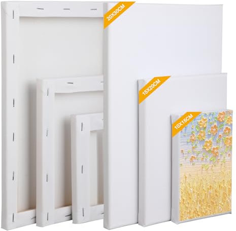 Set de toiles 6 pièces, toiles à peindre pour créations, toile peinture précise. Parfaites pour peinture sur toile acrylique, huile, gouache, toiles pour peinture acrylique.