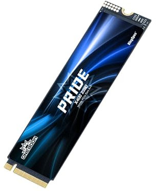 KingSpec ONEBOOM X400 SSD Interne 4To M.2 NVMe 2280 PCIe Gen4 - Mémoire 3D TLC NAND pour Gaming, Vitesse de Lecture jusqu'à 7400 Mo/s - Compatible PS5/PC/Ordinateur Portable