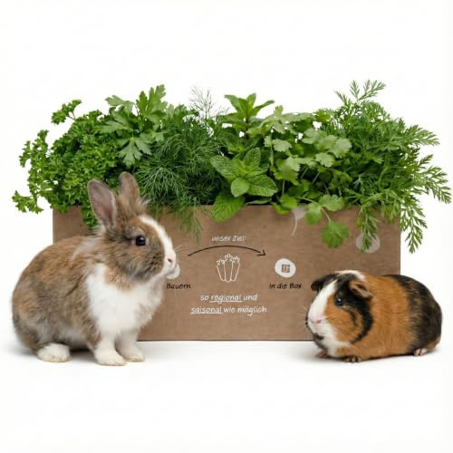Vun allem Ebbes Frischfutter-Box 5 kg - Knollenliebe Kleintierbox | Bunte Mischung aus Gemüse, Blättern & Wurzeln – für Kaninchen, Meerschweinchen & Nager