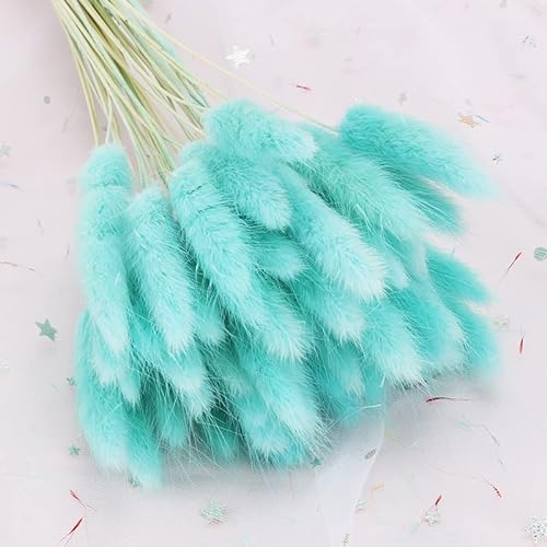 120 Stück getrockneter Hasenschwanz, Gras, blau, natürliche Hasenschwanz, Pampasgras, getrocknete Blumen, Kaninchenschwanz, Gras für Zuhause, Boho-Dekoration, Hochzeitsblumen-Arrangement
