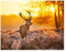 SHEGZHUC 50x40cm Diamond Painting Hirsch Reh Diamond Painting Sonnenuntergang Diamond Painting Tiere Diamond Painting Landschaft Diamant Malerei Stickerei Kreuzstich Bilder Geschenk Wanddekoration
