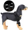 SEIMAL Attelle de Jambe de Chien Réfléchissant Chiot épaule Jambe Avant Coude protéger Canin Extra Soutien Arthrite Perte de stabilité Aide à guérir Les blessures Blessures Entorses Noir M