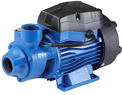 Bakaji Elettropompa Autodescante per Autoclave Periferica Potenza 0,5 HP (370W) Pompa con Motore in Rame Girante in Ottone Albero in Acciaio e Corpo in Ghisa Portata Massima 30L/min