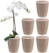 Santino 6er-Set Orchideentopf D 12cm Selbstbewässernder Topf mit Dochtsystem und Wasserstandsanzeige für den Innenbereich - Sand - 1,3L