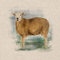 Aquarell-Tiere, Digitaldruck-Design, Baumwolle, reiche Leinen-Optik, Stoff für Wimpelkette, Jalousien, Basteln, Quilten, Patchwork und Polsterung, verkauft pro Paneel (Bauernhofschaf)