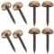 Vokenforu 8 Sets Mirror Screws, 15 mm Brass, Antique Brass, Flat Round Head, Self Tapping, Fully Threaded, 5 cm Diameter, 34 grams, 5 x 1 x 1 cm, Bath Plates, Furniture Fittings