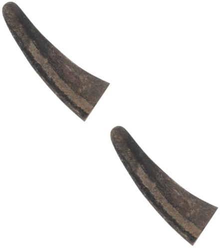 COHEALI 2St Stierhörner zum Selbermachen bastelzeug bastelmaterial bastel Material Hornschnitzerei Material Widder-Kühlerfigur Stierhörner schnitzen Hörner basteln Leere Stierhörner