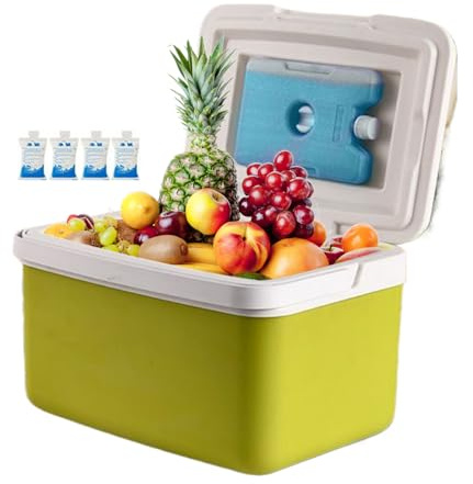 Insulated Cooler Bag | Portable Fridge Container with Handle | 15 Litre Capacity Cooler for Food and Outdoor Activities Such as Camping Beach Picnic Boat and