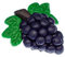Miniblings Vigne de Raisin du vin Reine Broche Vin Rouge - Main Bijoux à la Mode Pin I Bouton Pins