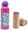 OM SUPPLIES Patrol Girl Characters Aluminium Sports Bottle 530ml - Holiday, Back to School Water Drinking Kids Lunch Children Includes Half Size 12pcs (Patrol Girl)