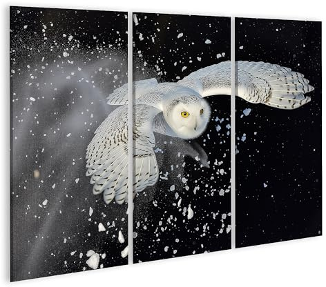 islandburner Bild auf Leinwand Eine frontal Fliegende Schnee-Eule zieht Schneeflocken mit Sich Wohnzimmer Wildtierfotografie-Studio Leinwandbild