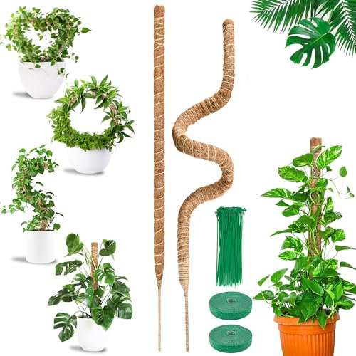 COZCLAM Tutores para Plantas, 2 Piezas 160cm Estaca de Fibra de Coco, Palo de Musgo, Soportes Plegables para Plantas, Tutor Monstera, Soporte Monstera para Plantas Trepadoras de Crecimiento Ascendente